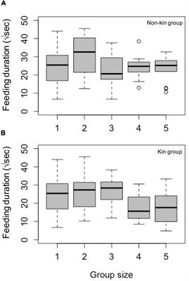 Foraging Payoffs Change With Group Size in Kin and Non-kin Groups of an Argyrodinae Kleptoparasitic Spider, Argyrodes miniaceus